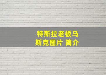 特斯拉老板马斯克图片 简介